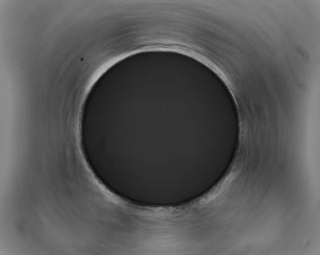 X0000111481533200908111150
