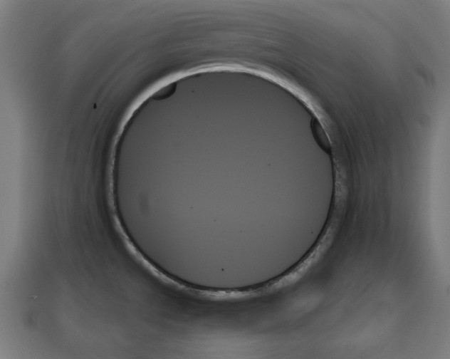 X0000111481534200908111150