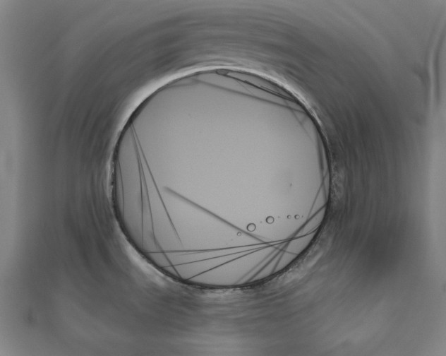 X0000111481535200908111150