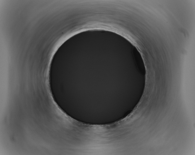 X0000111481536200908111150