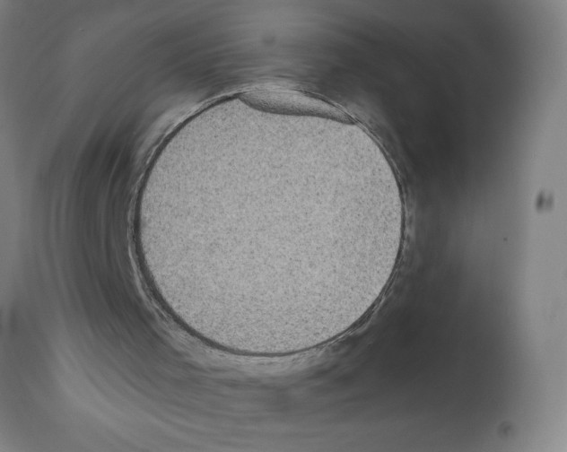 X0000111480001200908251013