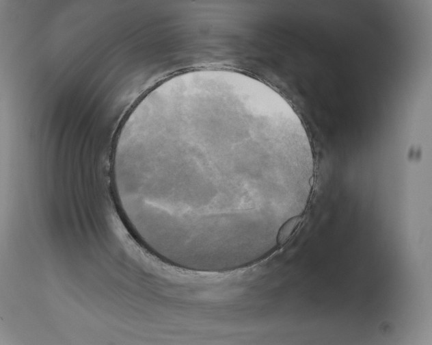 X0000111480002200908251013