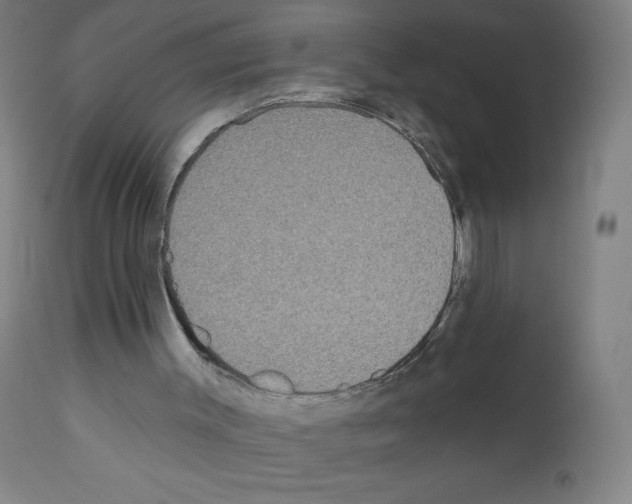 X0000111480003200908251013