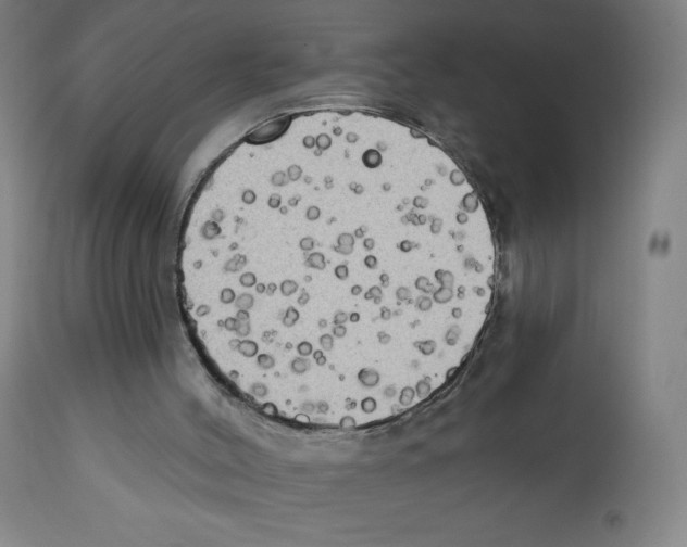X0000111480004200908251013