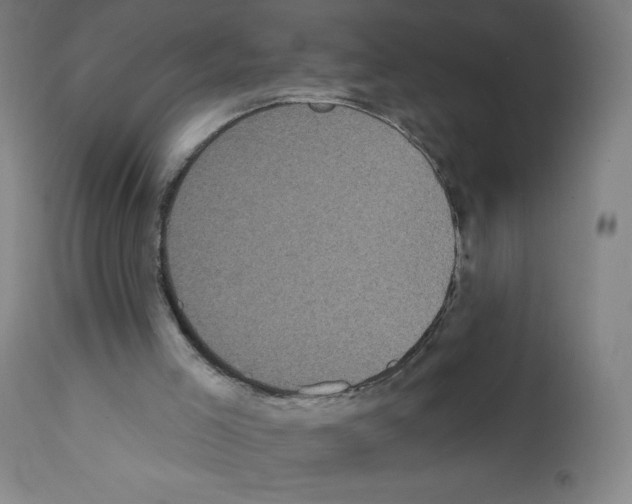 X0000111480005200908251013