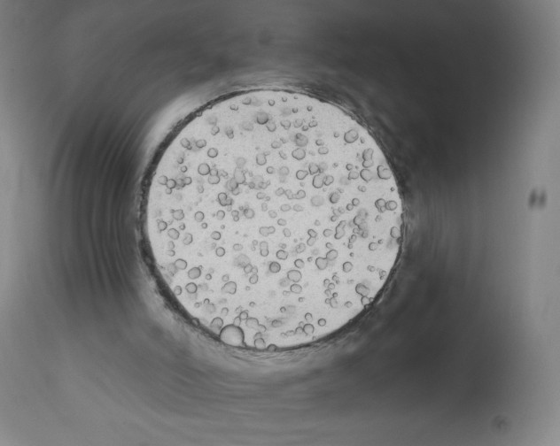 X0000111480006200908251013