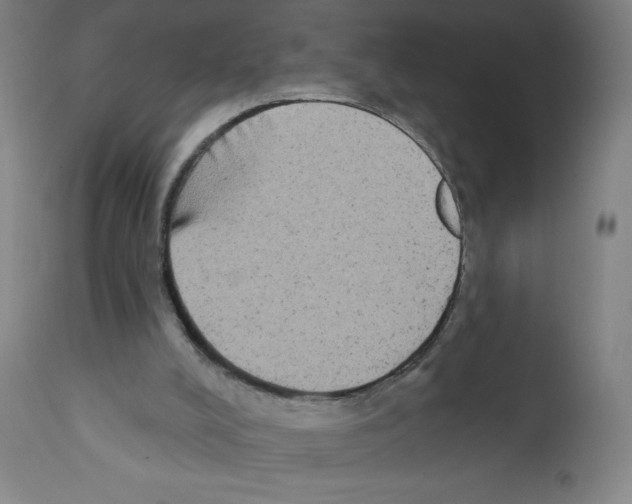 X0000111480008200908251013