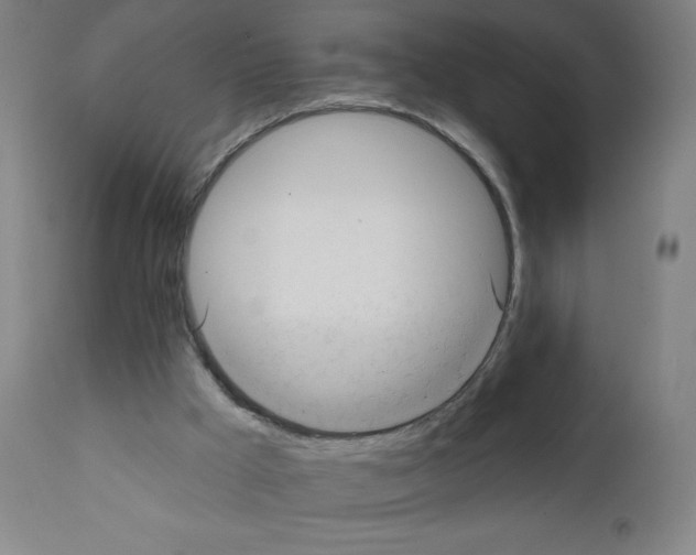X0000111480009200908251013