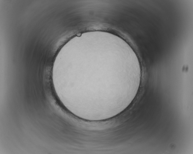 X0000111480010200908251013
