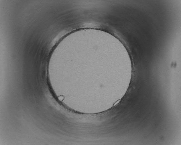 X0000111480011200908251012
