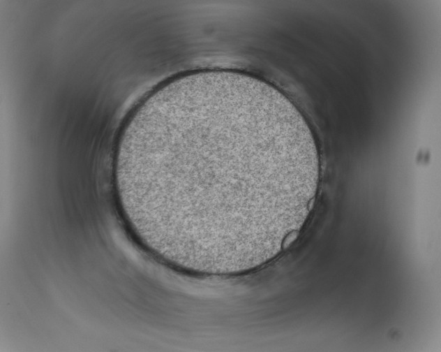 X0000111480012200908251012