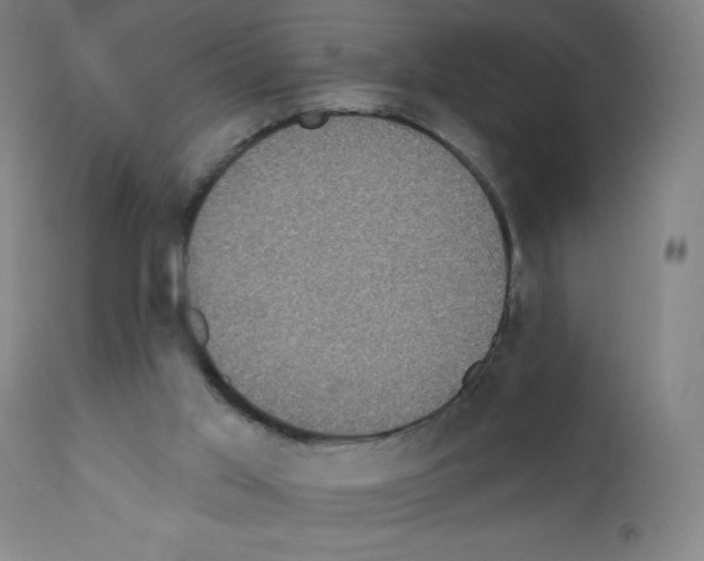 X0000111480013200908251012