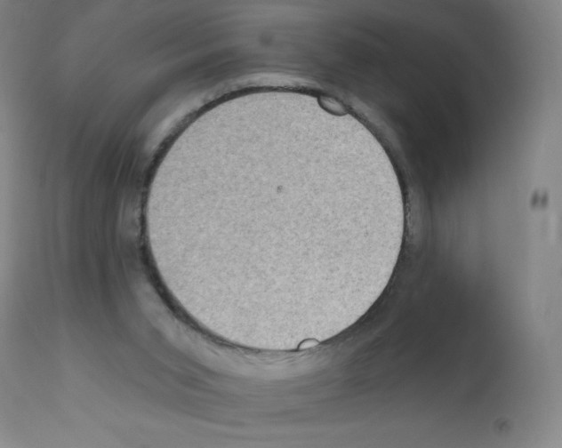 X0000111480015200908251012