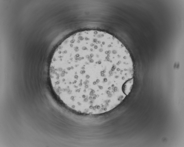 X0000111480016200908251012