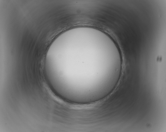 X0000111480017200908251012