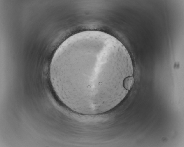 X0000111480018200908251012