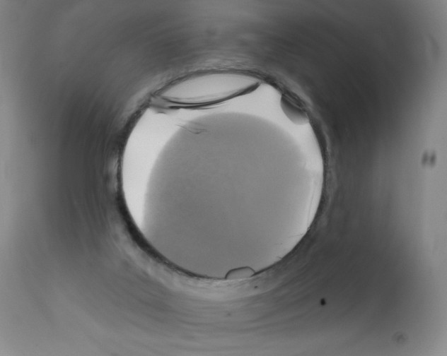 X0000111480019200908251012