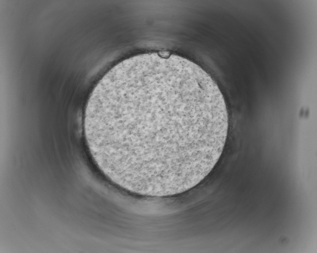 X0000111480020200908251012