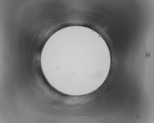 X0000111480021200908251012