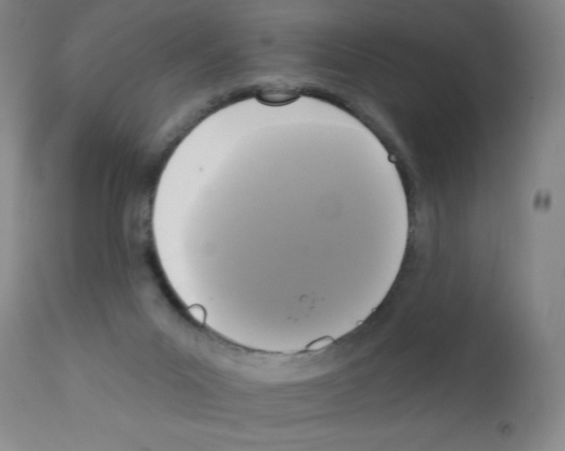 X0000111480023200908251012