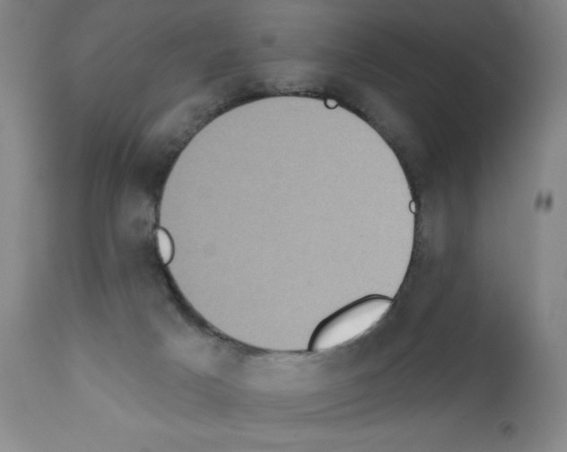 X0000111480025200908251012