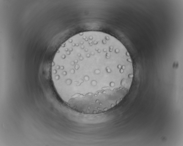 X0000111480026200908251012