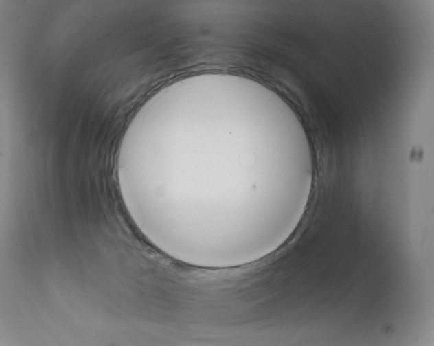 X0000111480029200908251012