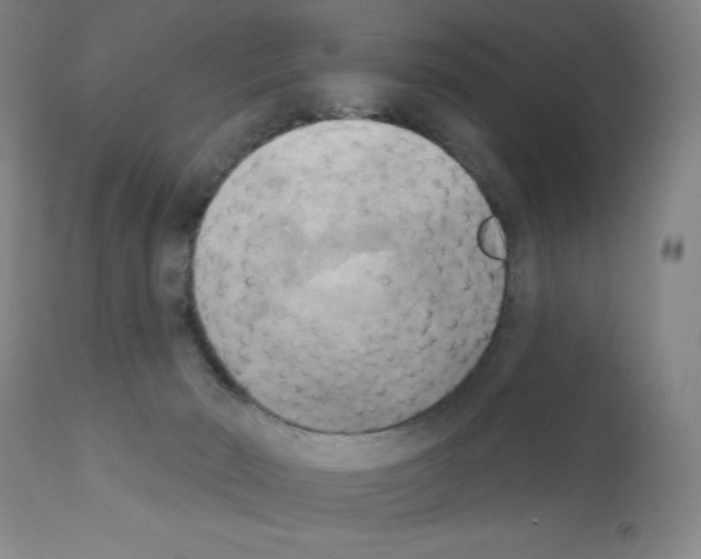 X0000111480030200908251012