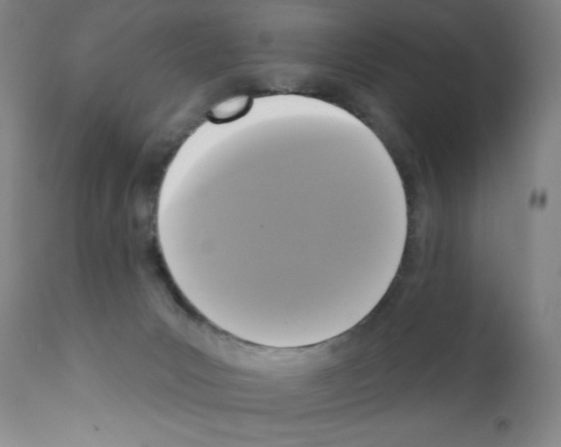 X0000111480031200908251012