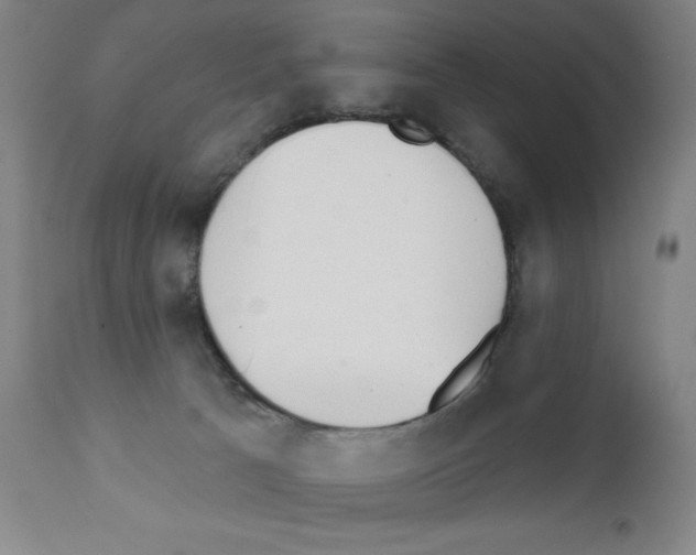 X0000111480033200908251012