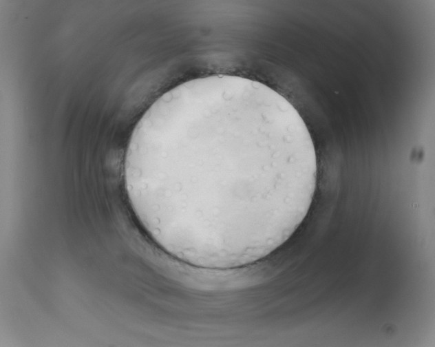 X0000111480034200908251012