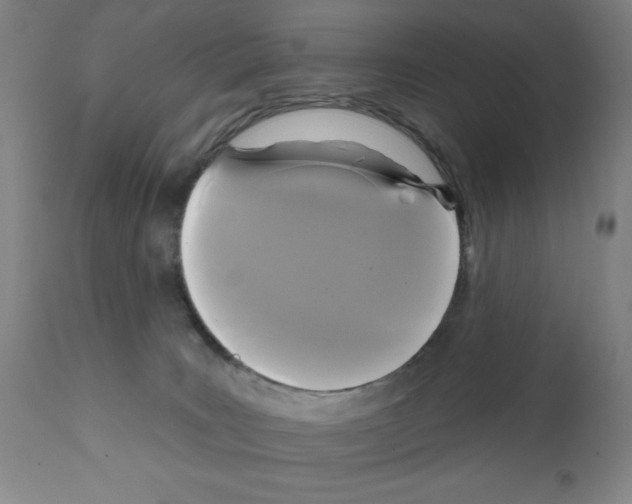 X0000111480035200908251012