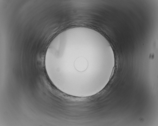 X0000111480036200908251012