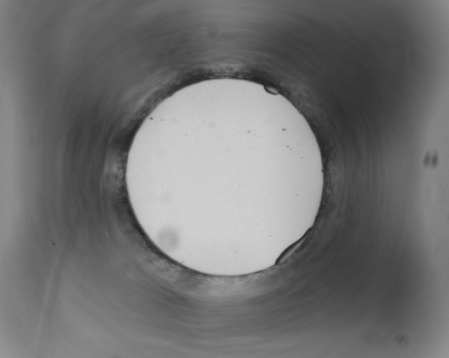 X0000111480037200908251012