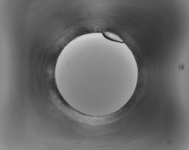 X0000111480039200908251012
