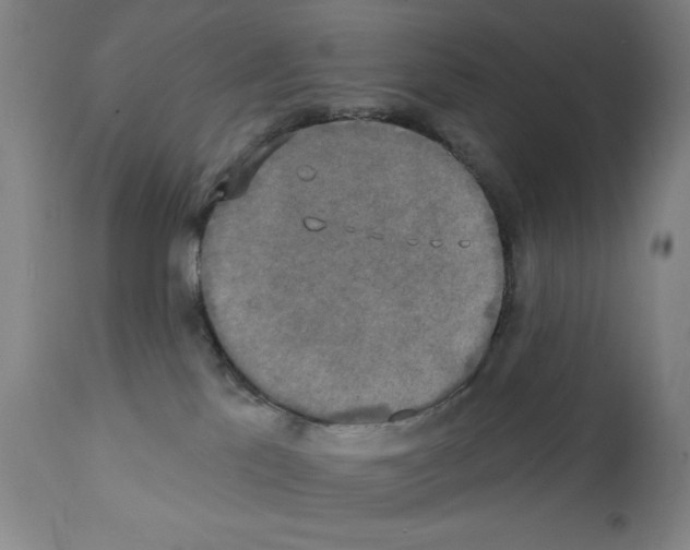 X0000111480041200908251012
