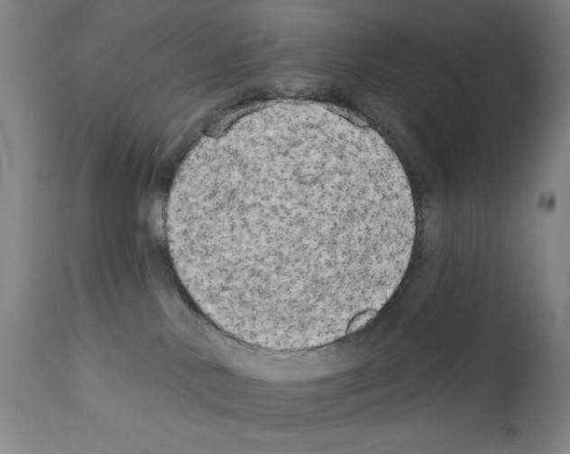 X0000111480042200908251012