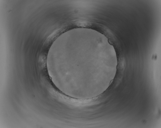 X0000111480043200908251012