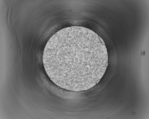 X0000111480044200908251012