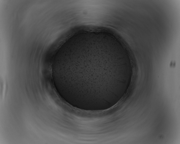 X0000111480048200908251012