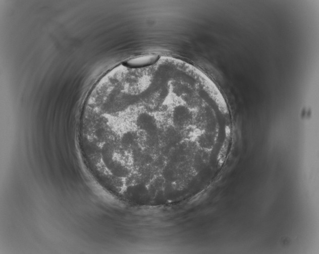 X0000111480049200908251011