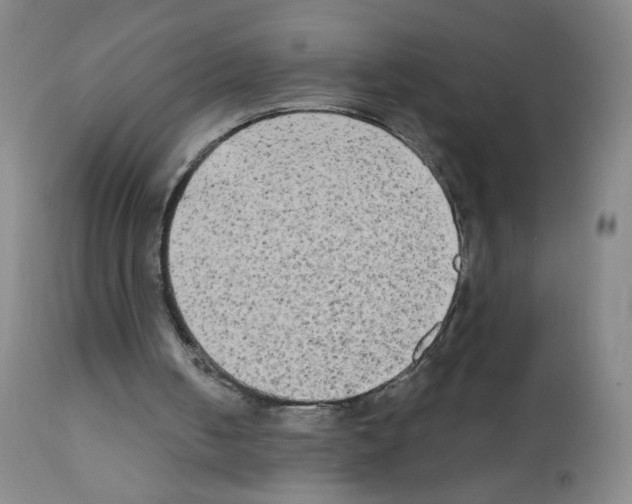X0000111480050200908251011
