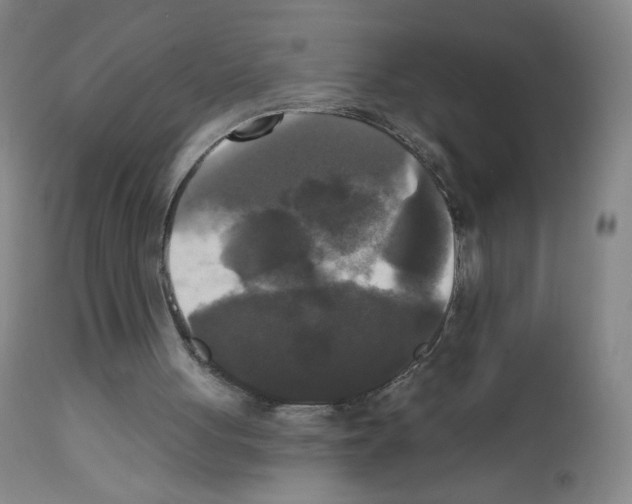 X0000111480051200908251011