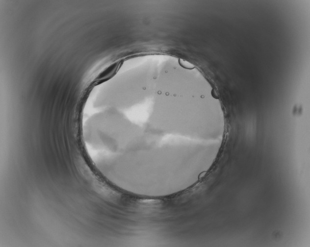 X0000111480053200908251011