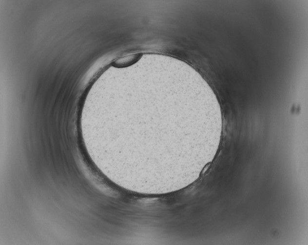 X0000111480054200908251011