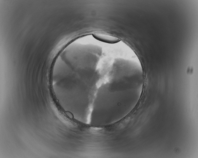 X0000111480055200908251011
