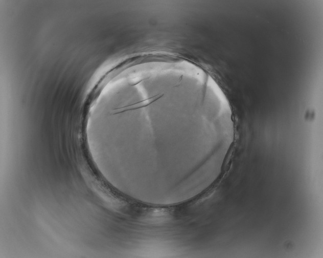 X0000111480056200908251011