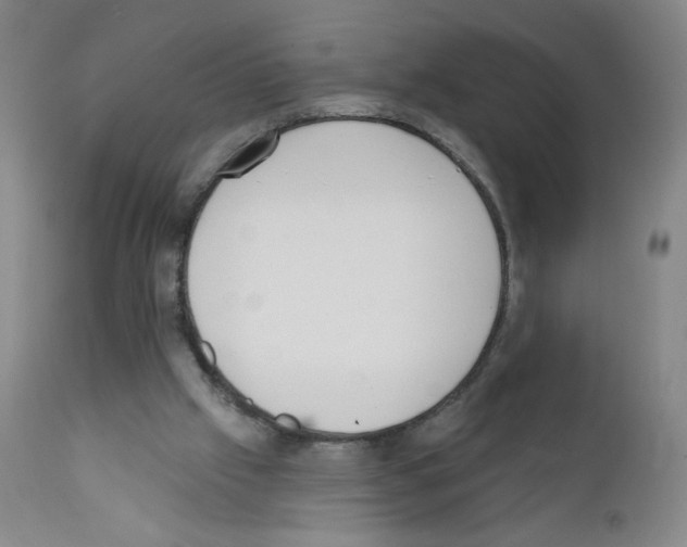 X0000111480057200908251011