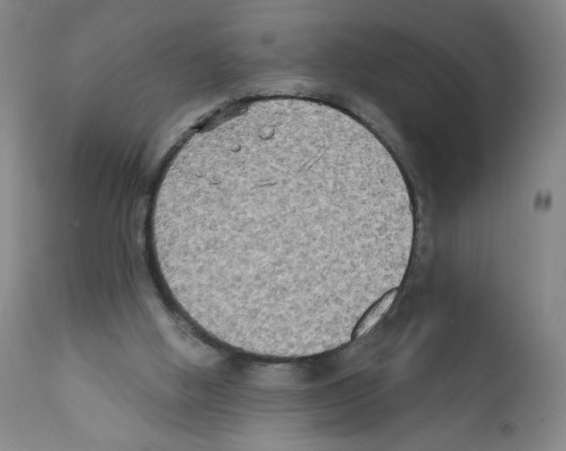 X0000111480058200908251011