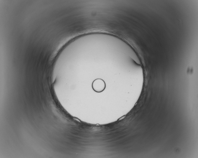 X0000111480060200908251011
